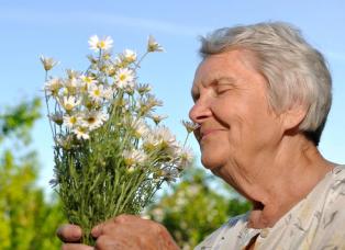 A smell test for Alzheimer's Disease